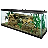 Tetra 55 Gallon Aquarium Kit with Fish Tank, Fish...