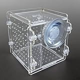 Alfie Pet - Rabea Hang-on Nursery Fish Tank with...