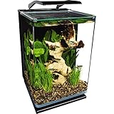 Marineland Portrait Glass LED Aquarium Kit, 5...