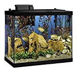 Tetra Aquarium 20 Gallon Fish Tank Kit, Includes...