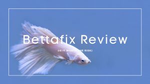 Bettafix Review