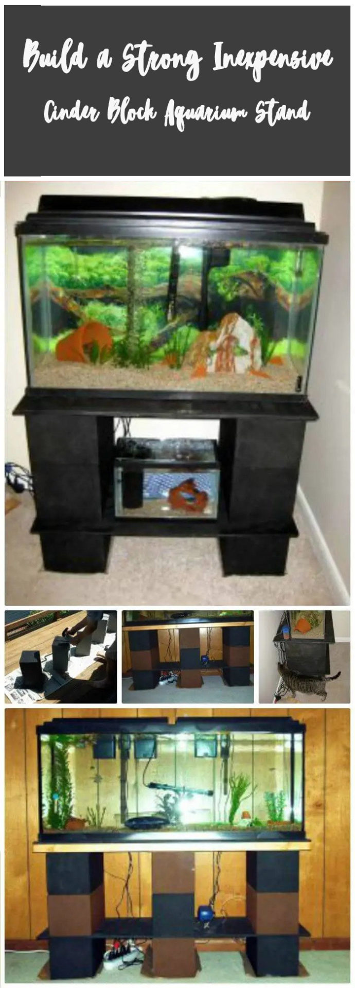 Build a Strong, Inexpensive Aquarium Stand