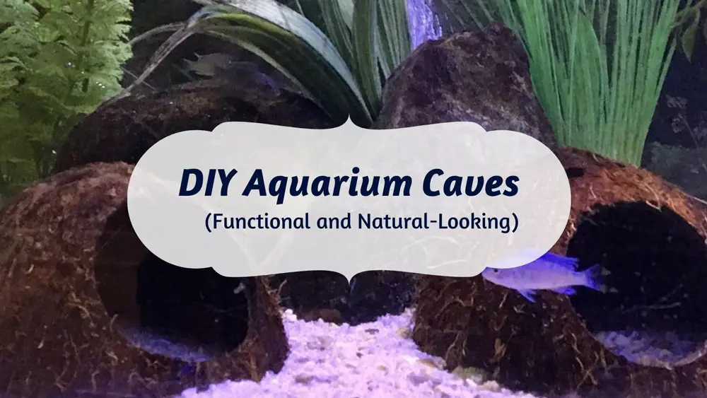 DIY Aquarium Cave