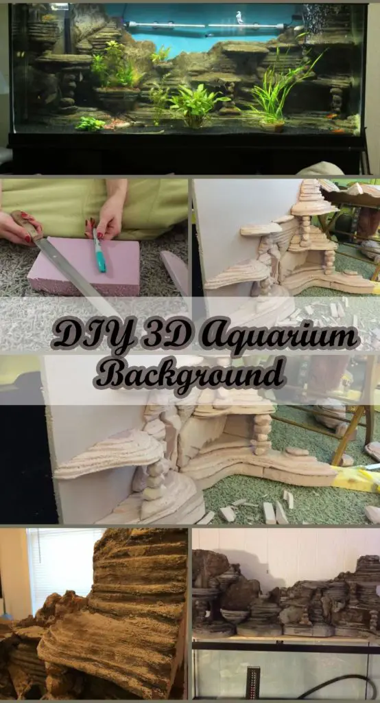 7 DIY Aquarium Background Ideas (3d Foam & Black)