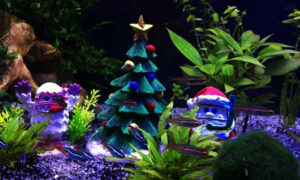 christmas aquarium decorations