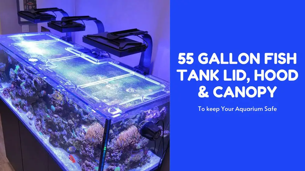 55 gallon fish tank lid