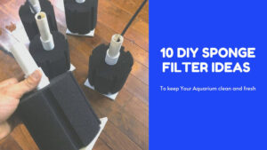 DIY Sponge Filter