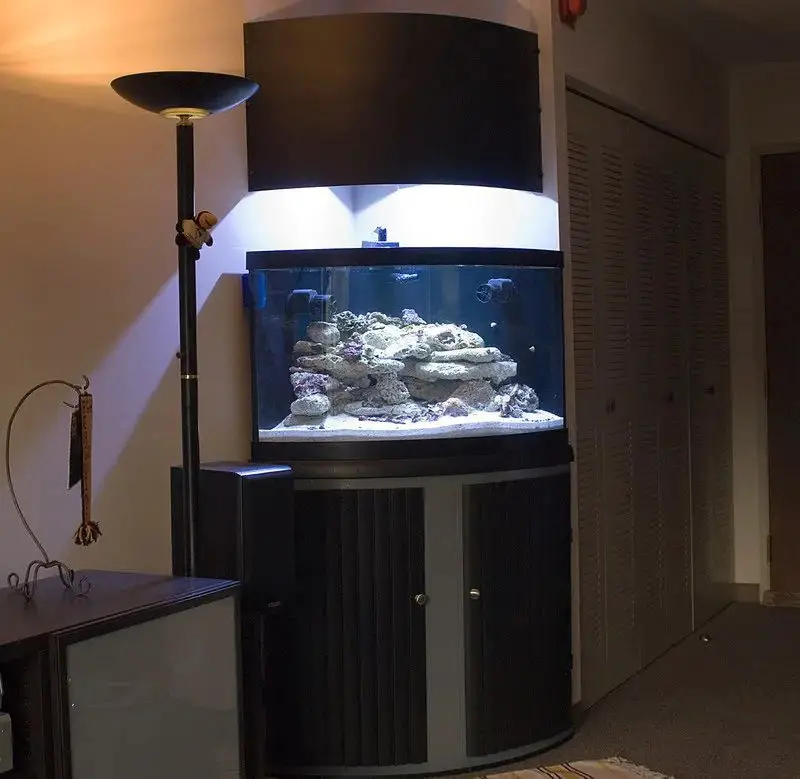 DIY Corner Fish Tank Stand with Canopy