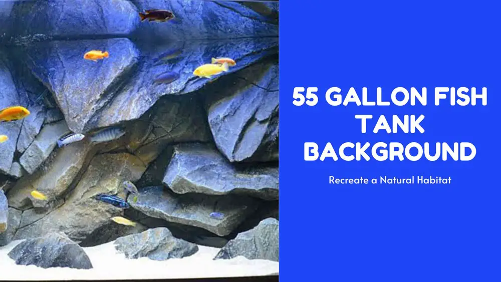 55 gallon fish tank background