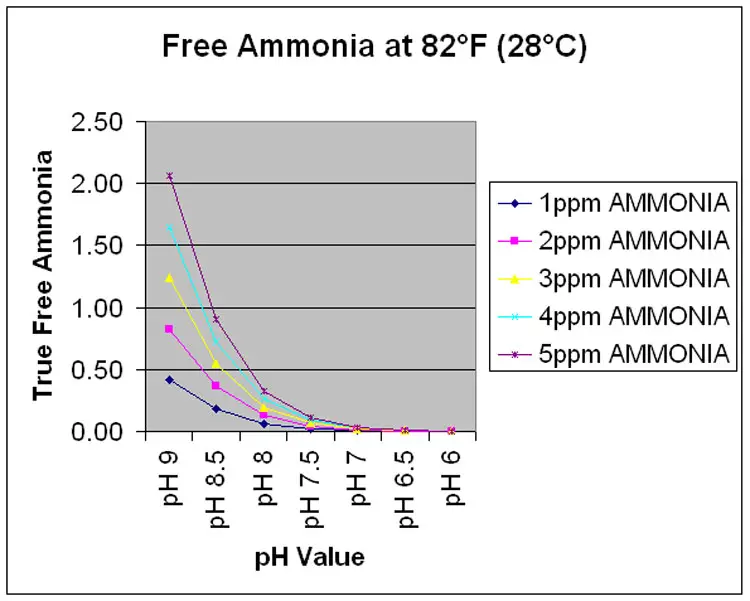 ammonia poisoning