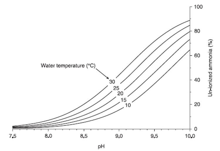 Effects of pH and Temperature on Ammonia Toxicity